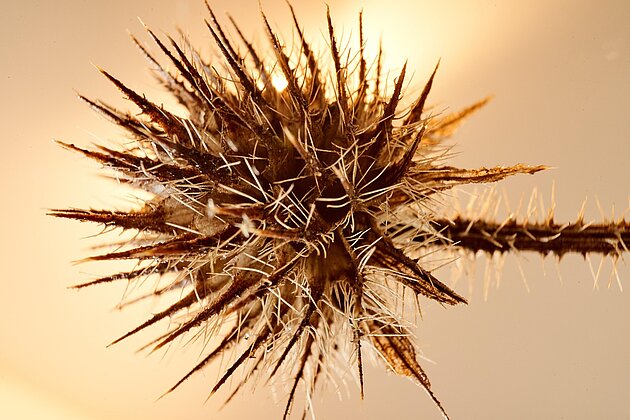 Quelle: Pixabay